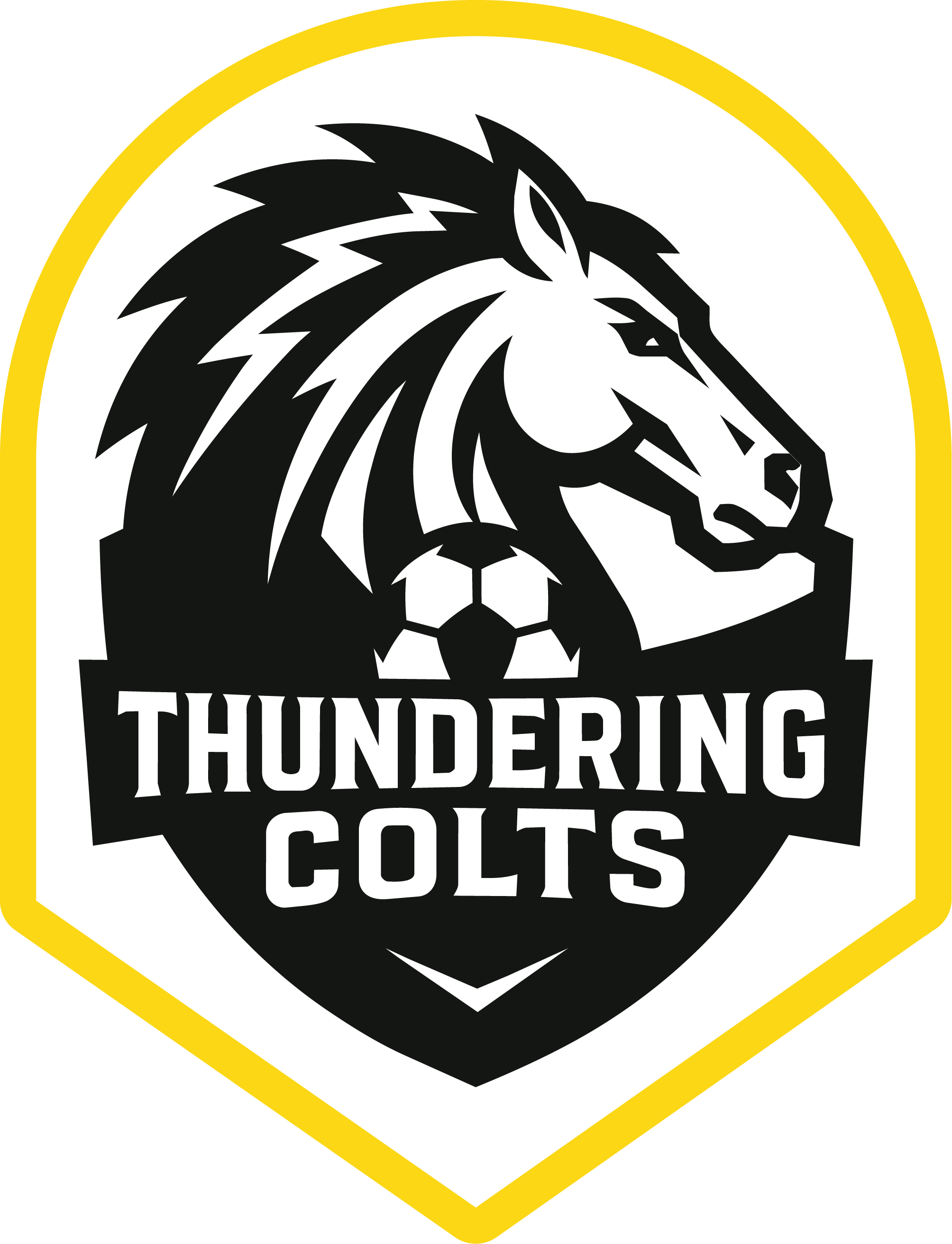 Thundering Colts badge